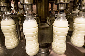 哪些食品廠需要做無菌凈化車間？